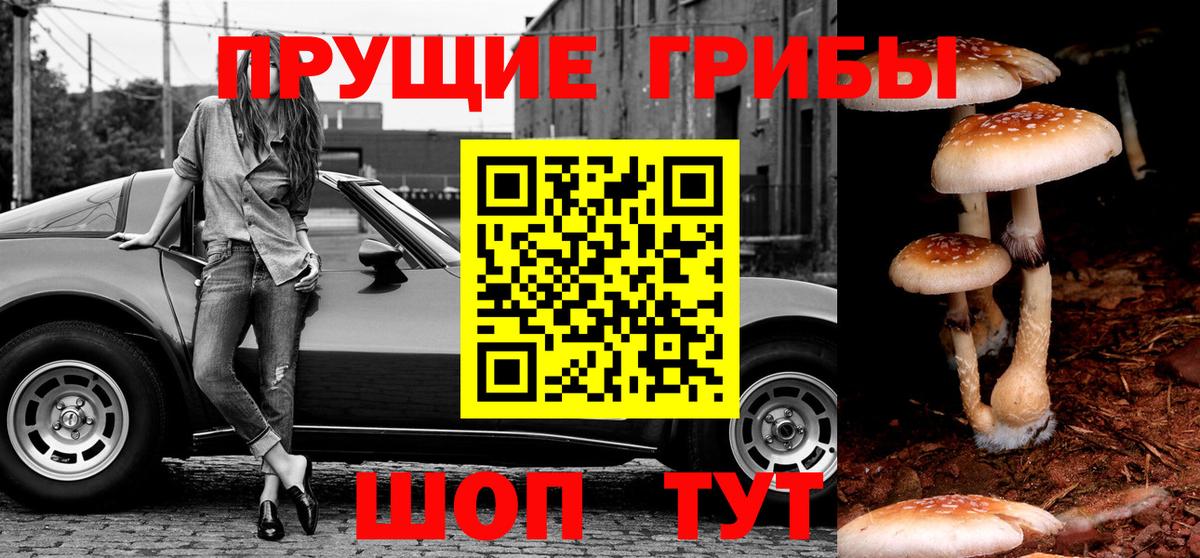 Краснотурьинск  Галлюциногенные грибы прущие грибы  Вход с VPN 